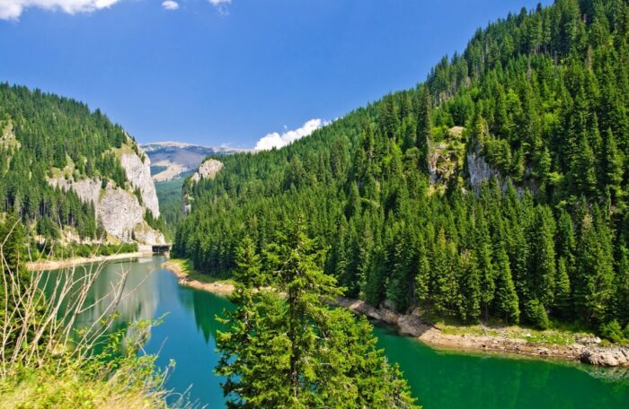Lacul Bolboci